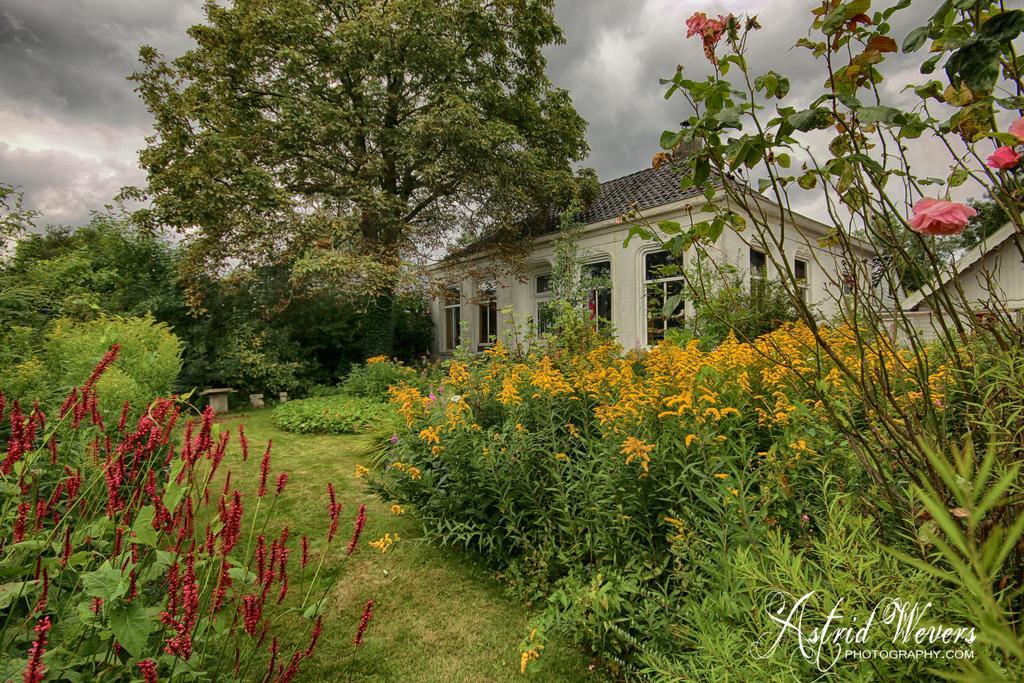 Bed and Breakfast Koningin Van Pieterburen Exterior foto